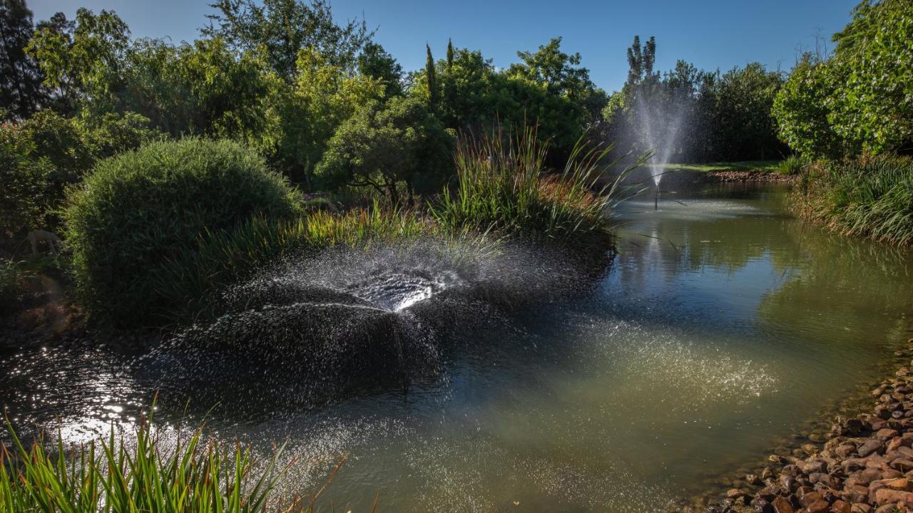 Eden Studios Riebeek-Kasteel Exteriör bild